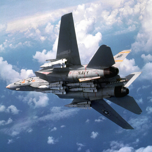 F-14gLbg